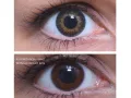 ColourVUE 3 Tones Green (2 lentile)