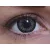 ColourVUE BigEyes Evening Grey (2 lentile)