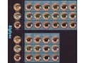 ColourVUE BigEyes Evening Grey (2 lentile)
