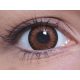 ColourVUE BigEyes Pretty Hazel (2 lentile)