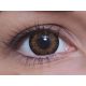 ColourVUE BigEyes Sweet Honey (2 lentile)