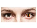 ColourVUE Crazy One-Day Dragon Eyes (2 lentile)