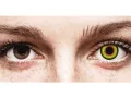 ColourVUE Crazy One-Day Mad Hatter (2 lentile)