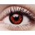 ColourVUE Crazy One-Day Volturi (2 lentile)