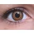 ColourVUE Glamour Honey (2 lentile)