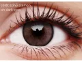 ColourVUE Lumina Shinning Brown (2 lentile)