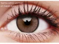 ColourVUE Lumina Shinning Brown (2 lentile)