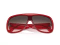 Ferrari Ochelari de Soare FH 2006U 706/46