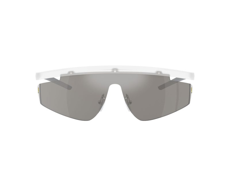 Ferrari Scuderia Ochelari de Soare FZ 6001 505/6G