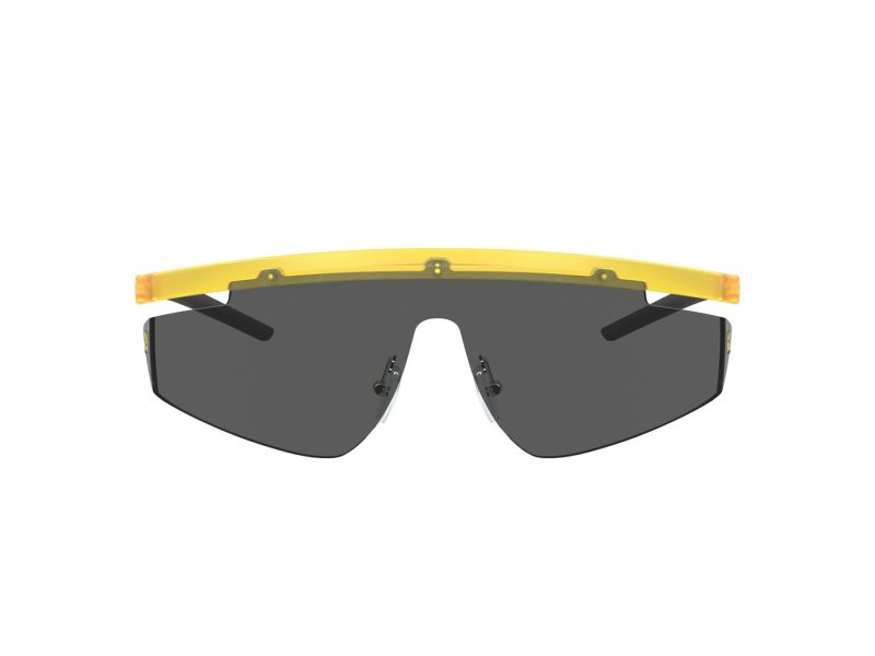 Ferrari Scuderia Ochelari de Soare FZ 6001 507/87