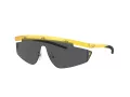 Ferrari Scuderia Ochelari de Soare FZ 6001 507/87