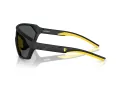 Ferrari Scuderia Ochelari de Soare FZ 6017U 504/87