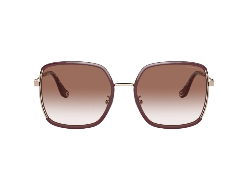 Coach C8000 Ochelari de Soare HC 7139BD 94028D