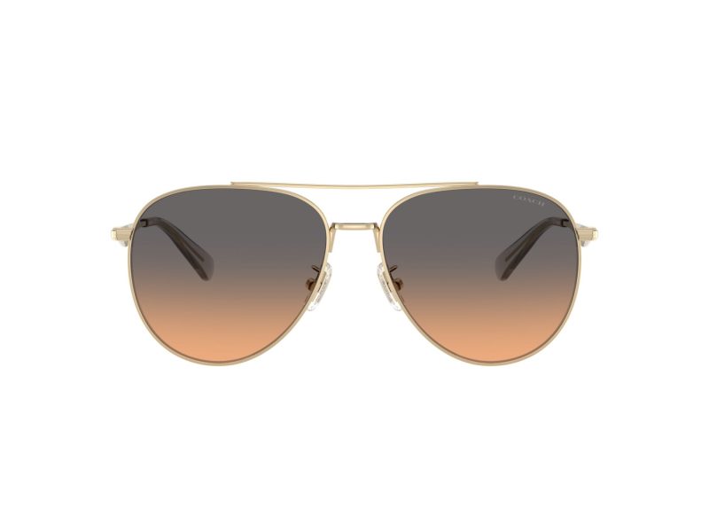 Coach Cw193 Ochelari de Soare HC 7169 900518