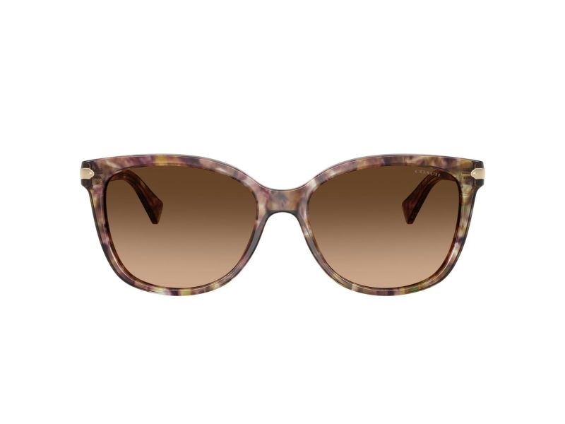 Coach L109 Ochelari de Soare HC 8132 528713