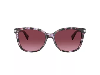 Coach L109 Ochelari de Soare HC 8132 55488H 57