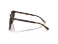 Coach L1101 Ochelari de Soare HC 8271U 5120T5 57