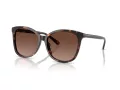 Coach L1101 Ochelari de Soare HC 8271U 5120T5 57