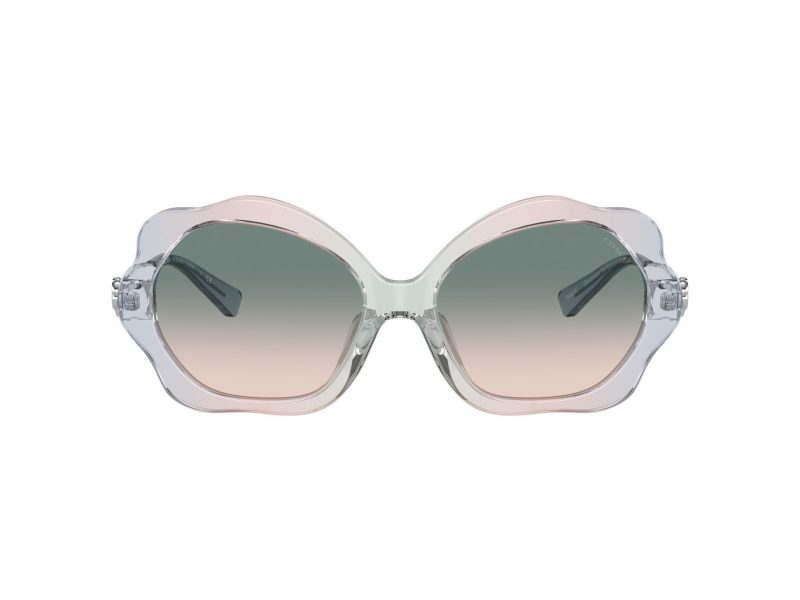Coach C9200 Ochelari de Soare HC 8346BU 56422C
