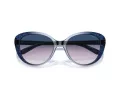 Coach Cd479 Ochelari de Soare HC 8348U 57088H