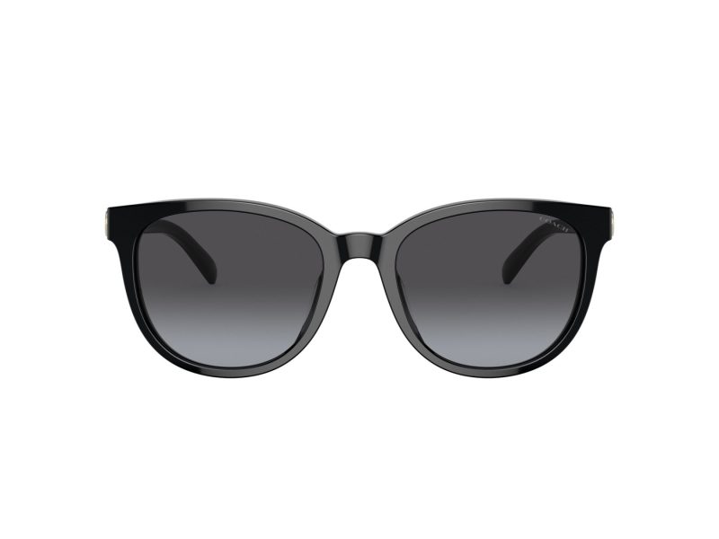 Coach Cd478 Ochelari de Soare HC 8350U 50028G