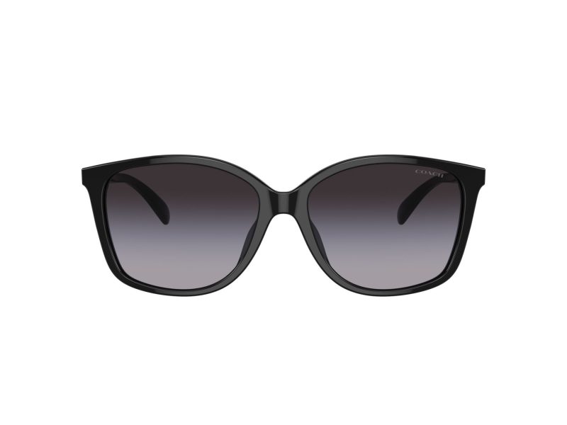 Coach Ch558 Ochelari de Soare HC 8361U 50028G