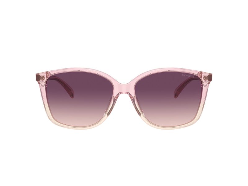 Coach Ch558 Ochelari de Soare HC 8361U 57387W