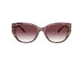 Coach Ch563 Ochelari de Soare HC 8362U 57398H