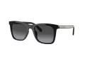 Coach Ch561 Ochelari de Soare HC 8374U 50028G
