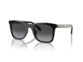 Coach Ch561 Ochelari de Soare HC 8374U 50028G