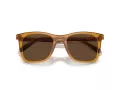 Coach Ch561 Ochelari de Soare HC 8374U 57483G