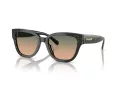 Coach Cl920 Ochelari de Soare HC 8379U 578413