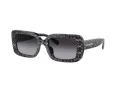 Coach Cl922 Ochelari de Soare HC 8380U 55208G