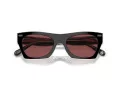 Coach Cl917 Ochelari de Soare HC 8389U 572875