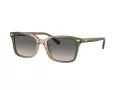 Coach Cr630 Ochelari de Soare HC 8398U 5797G9