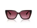 Coach Cw195 Ochelari de Soare HC 8408U 53938H