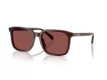 Coach Cw405 Ochelari de Soare HC 8411U 585075