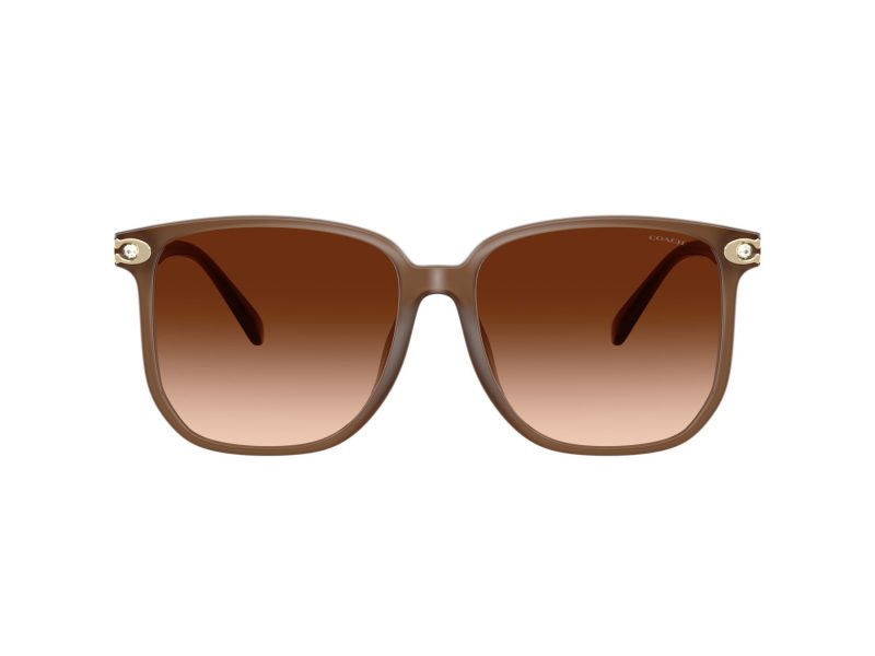 Coach Cw419 Ochelari de Soare HC 8413BD 580874