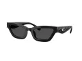 Coach Cad28 Ochelari de Soare HC 8420U 500287