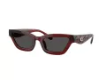 Coach Cad28 Ochelari de Soare HC 8420U 587487