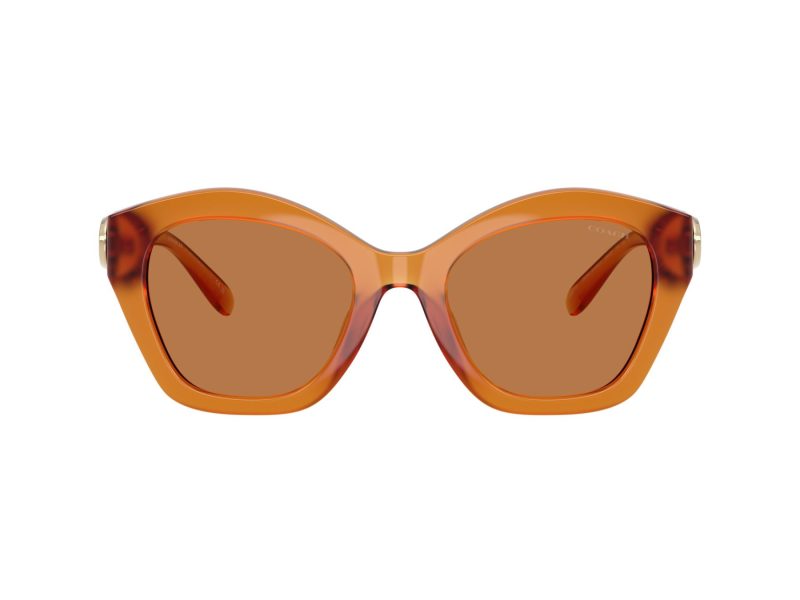 Coach Cad31 Ochelari de Soare HC 8421U 564773
