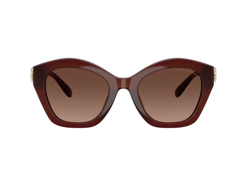 Coach Cad31 Ochelari de Soare HC 8421U 5841T5