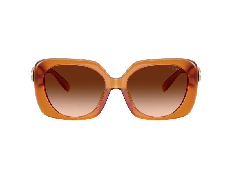 Coach Cad33 Ochelari de Soare HC 8422U 564774