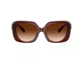 Coach Cad33 Ochelari de Soare HC 8422U 584174