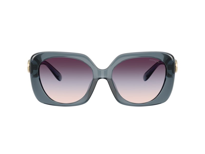 Coach Cad33 Ochelari de Soare HC 8422U 5871U7