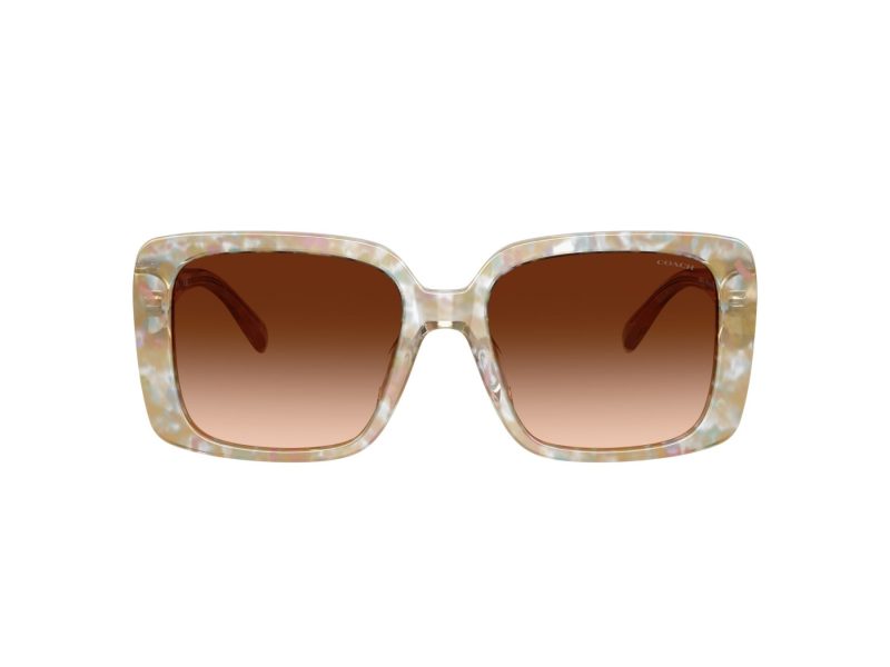 Coach Cad54 Ochelari de Soare HC 8424U 586874