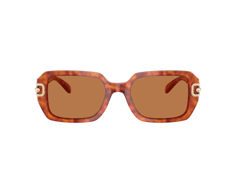 Coach Cad74 Ochelari de Soare HC 8425U 577473