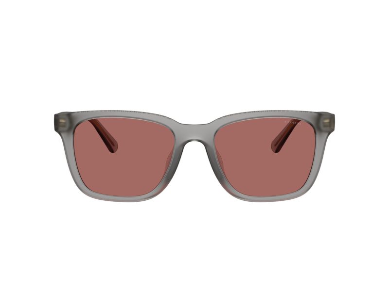 Coach Cad81 Ochelari de Soare HC 8426U 58750H