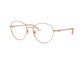 Jimmy Choo Ochelari de Vedere JC 2004HB 3008 52