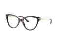 Jimmy Choo Ochelari de Vedere JC 3001B 5002 52